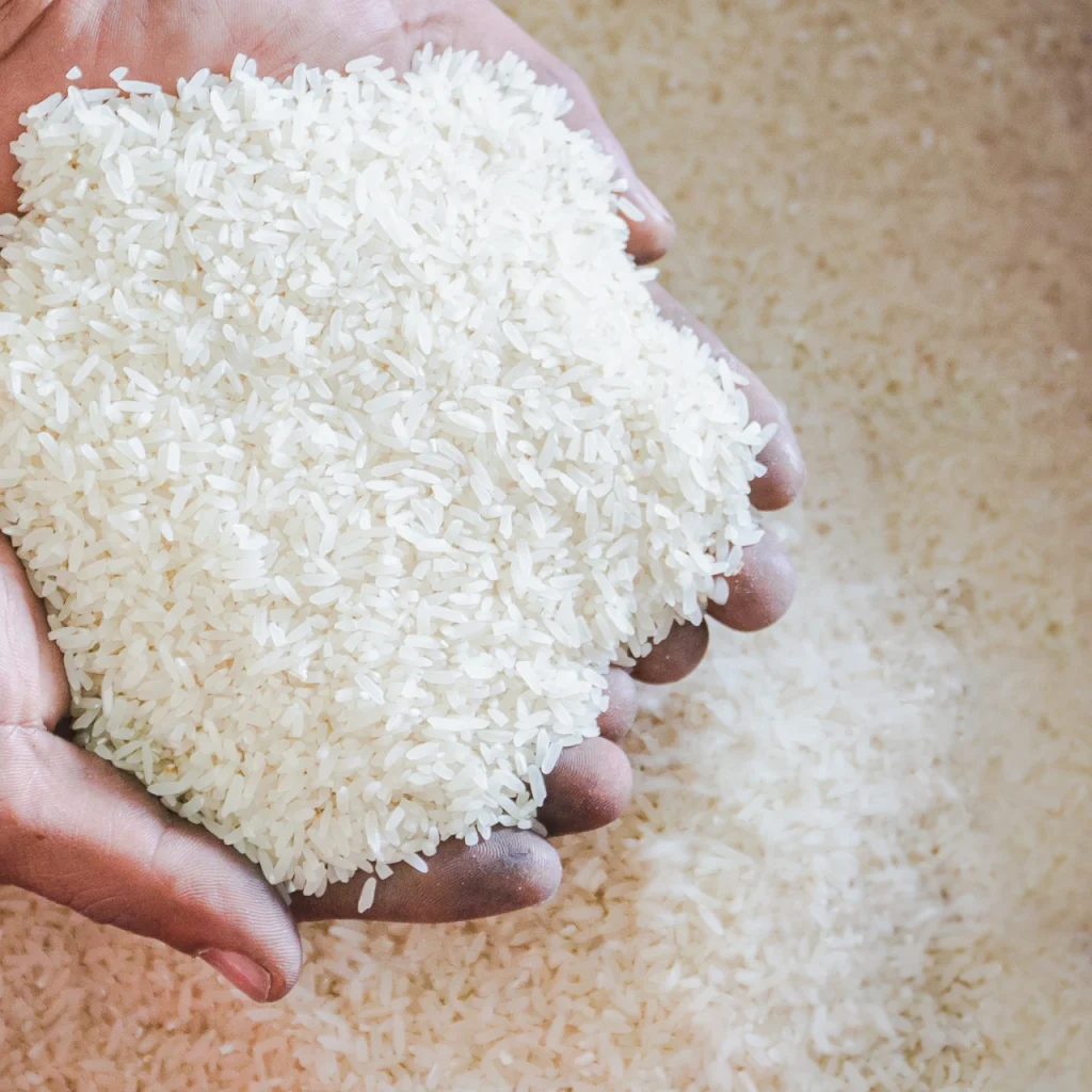 1920-close-up-raw-jasmine-white-rice-grain-in-argriculture-hand